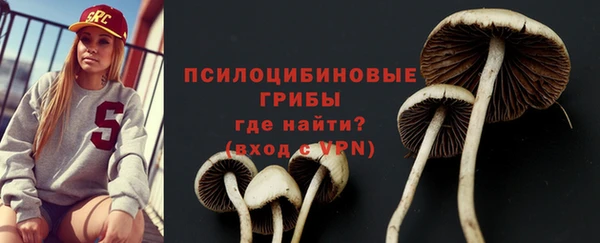 эйфоретик Апатиты