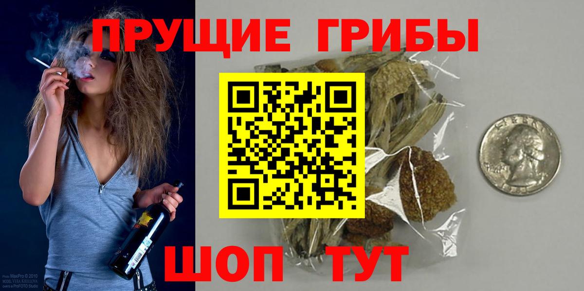 Псилоцибиновые грибы Cubensis Павлово